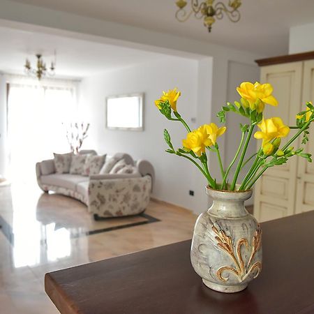 San Grecu House Apartment Fagaras Bagian luar foto