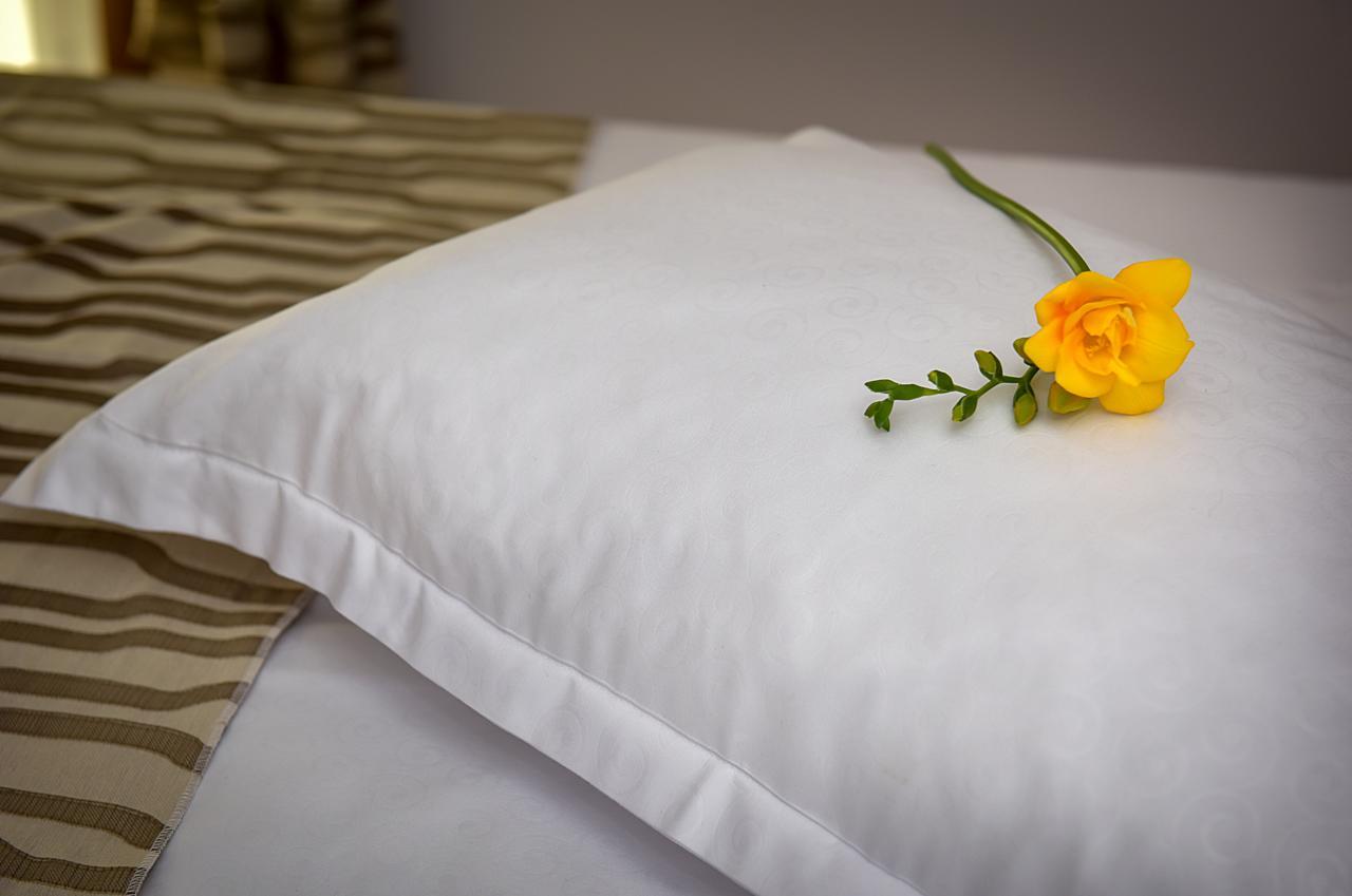San Grecu House Apartment Fagaras Bagian luar foto